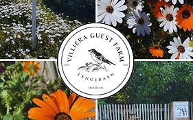 Villiera Guest Farm